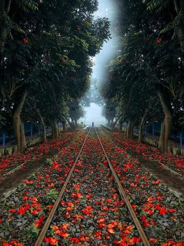 Greenest Railway Stations in India : ఇండియాలో గ్రీనెస్ట్ రైల్వే స్టేషన్లు