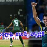AUS vs BAN HighlightsT20 World Cup 2024: ప్యాట్ కమిన్స్ హ్యాట్రిక్.. డక్ వర్త్ లూయిస్ పద్ధతిలో ఆస్ట్రేలియా గెలుపు
