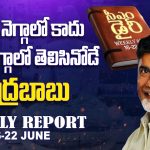 CM Chandrababu Naidu Weekly Diary: ఎక్కడ నెగ్గాలో కాదు.. ఎక్కడ తగ్గాలో తెలిసినోడే చంద్రబాబు