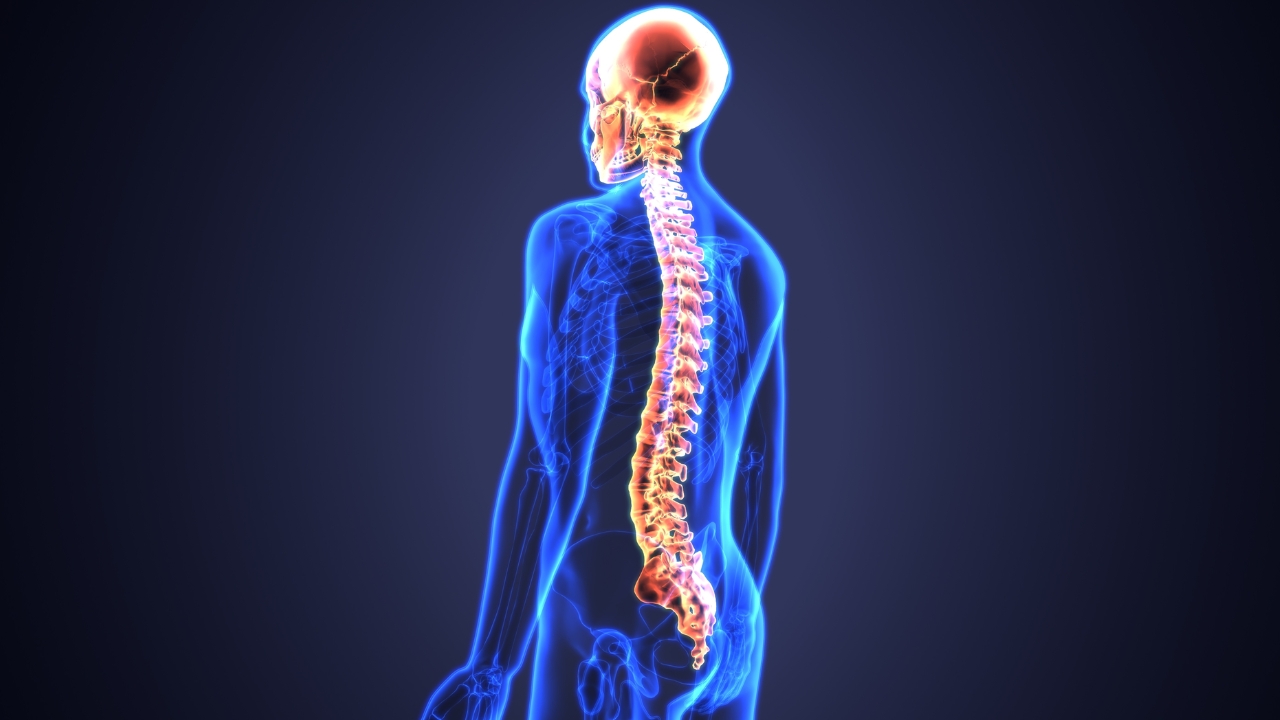 Spinal Stroke: ‘స్పైనల్ స్ట్రోక్’ ఎంత ప్రమాదకరమో తెలుసా.. వాటి లక్షణాలు ఎలా ఉంటాయంటే..