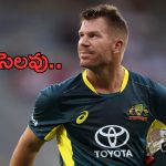 David Warner Retirement: ఇక సెలవు.. అంతర్జాతీయ క్రికెట్‌కు దిగ్గజ క్రికెటర్ గుడ్‌బై..!