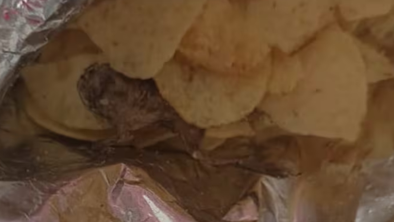 Dead frog found: చిప్స్ ప్యాకెట్‌లో కుళ్లిపోయిన కప్ప.. షాకైన కస్టమర్.. తర్వాత ఏమైందంటే..?