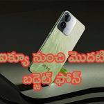 iQOO Cheapest Entry Level Phone: సూపర్ ఫీచర్స్.. ఐక్యూ నుంచి మొదటి బడ్జెట్ ఫోన్.. ఇది టేమ్టింగ్ రేటు బ్రో..!