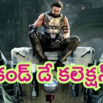 Kalki 2898 Ad Box Office Collection Day 2: ఘోరంగా పడిపోయిన ‘కల్కి 2898 ఏడీ’ సెకండ్ డే కలెక్షన్స్.. మొత్తం ఎన్ని కోట్లంటే..!