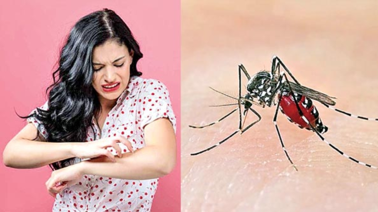 West Nile Virus Symptoms: దోమల ద్వారా వెస్ట్ నైల్ వ్యాప్తి.. అసలు ఈ వెస్ట్ నైల్ వైరస్ అంటే ఏంటి ?