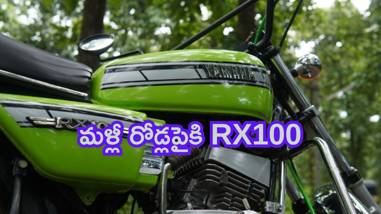 King Cobra in Amazon Parcel: అమెజాన్ పార్శిల్ లో కింగ్ కోబ్రా.. అదృష్టం బాగుండి అలా జరిగింది (వైరల్ వీడియో)