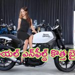 Royal Enfield Guerrilla 450: రాయల్ ఎన్‌ఫీల్డ్ నుంచి కొత్త బైక్ రెడీ.. లాంచ్ డేట్, ధర, స్పెసిఫికేషన్లు ఇవే..!