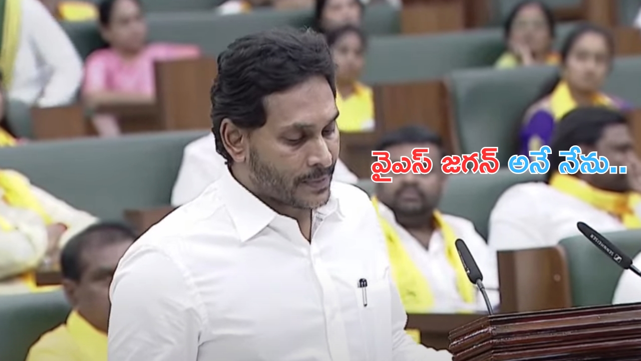 YS Jagan Mohan Reddy: ఎమ్మెల్యేగా ప్రమాణ స్వీకారం చేసిన వైఎస్ జగన్..