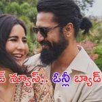 Vicky Kaushal: కత్రీనా ప్రెగ్నెంట్.. క్లారిటీ ఇచ్చిన భర్త విక్కీ కౌశల్