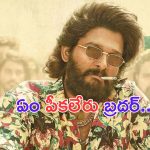 Allu Arjun: ఏం పీకలేరు బ్రదర్.. అల్లు అర్జున్ కు సపోర్ట్ గా ఫ్యాన్స్