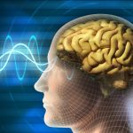 Foods for Memory Power: మీ జ్ఞాపకశక్తితో పాటు ఆరోగ్యాన్ని పెంపొందించే 5 ఆహారాలు ఇవే..