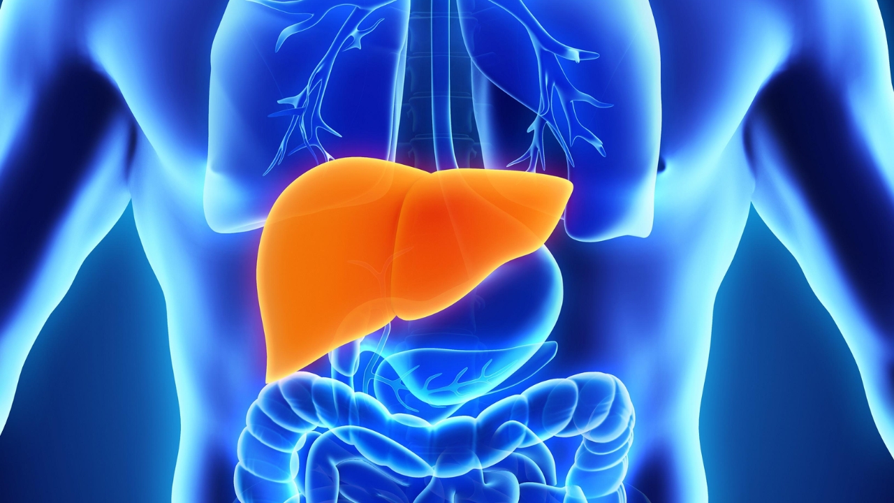 Liver Damage Early Signs: రాత్రంతా చేతులు, కాళ్లలో దురదగా ఉంటుందా.. అయితే మీ లివర్ డేంజర్‌లో ఉన్నట్లే