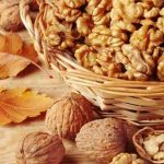 Health Tips: ప్రతీ రోజూ వాల్​నట్స్​ తింటే ఎన్ని ఆరోగ్య ప్రయోజనాలో తెలుసా ?