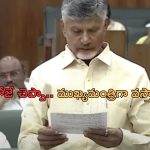 Chief Minister Chandrababu Naidu: ముఖ్యమంత్రిగానే వస్తానని ఆ రోజే చెప్పా.. చంద్రబాబు ఎమోషనల్ స్పీచ్