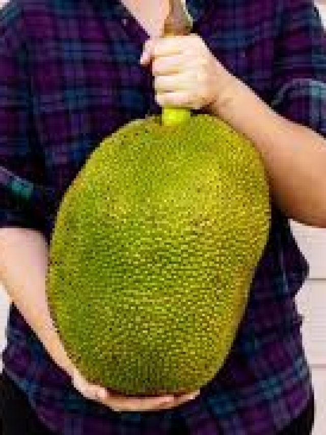 Health benefits of Jackfruit: జాక్‌ఫ్రూట్‌తో ఇన్ని ప్రయోజనాలా..?