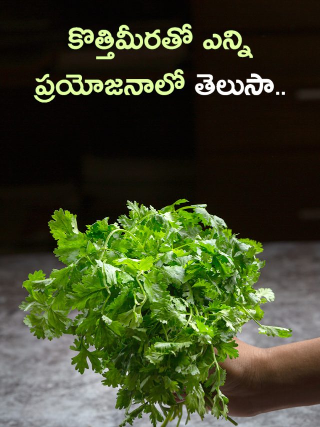 Advantages Of Corriander-కొత్తిమీరతో ఎన్ని ప్రయోజనాలో తెలుసా..