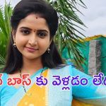 Deepika Rangaraju: బిగ్ బాస్ 8 కు బ్రహ్మముడి కావ్య.. అసలు నిజం చెప్పేసిందిగా