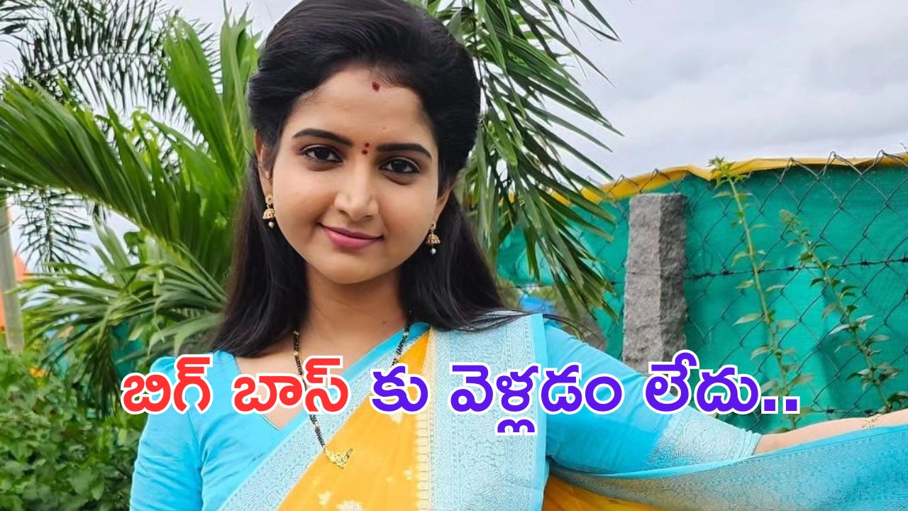 Deepika Rangaraju: బిగ్ బాస్ 8 కు బ్రహ్మముడి కావ్య.. అసలు నిజం చెప్పేసిందిగా