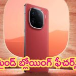 iQOO 13 Leaks: హా..హా..హా.. ఇదేమి ఫోనబ్బా.. ఫీచర్లు అదిరిపోయాయి..!