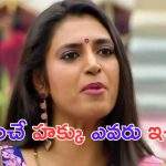 Kasthuri Shankar: రేణుక స్వామి మర్డర్ కేస్.. పవిత్ర తప్పేం ఉంది.. అలా అనడానికి మీకేం హక్కు ఉంది