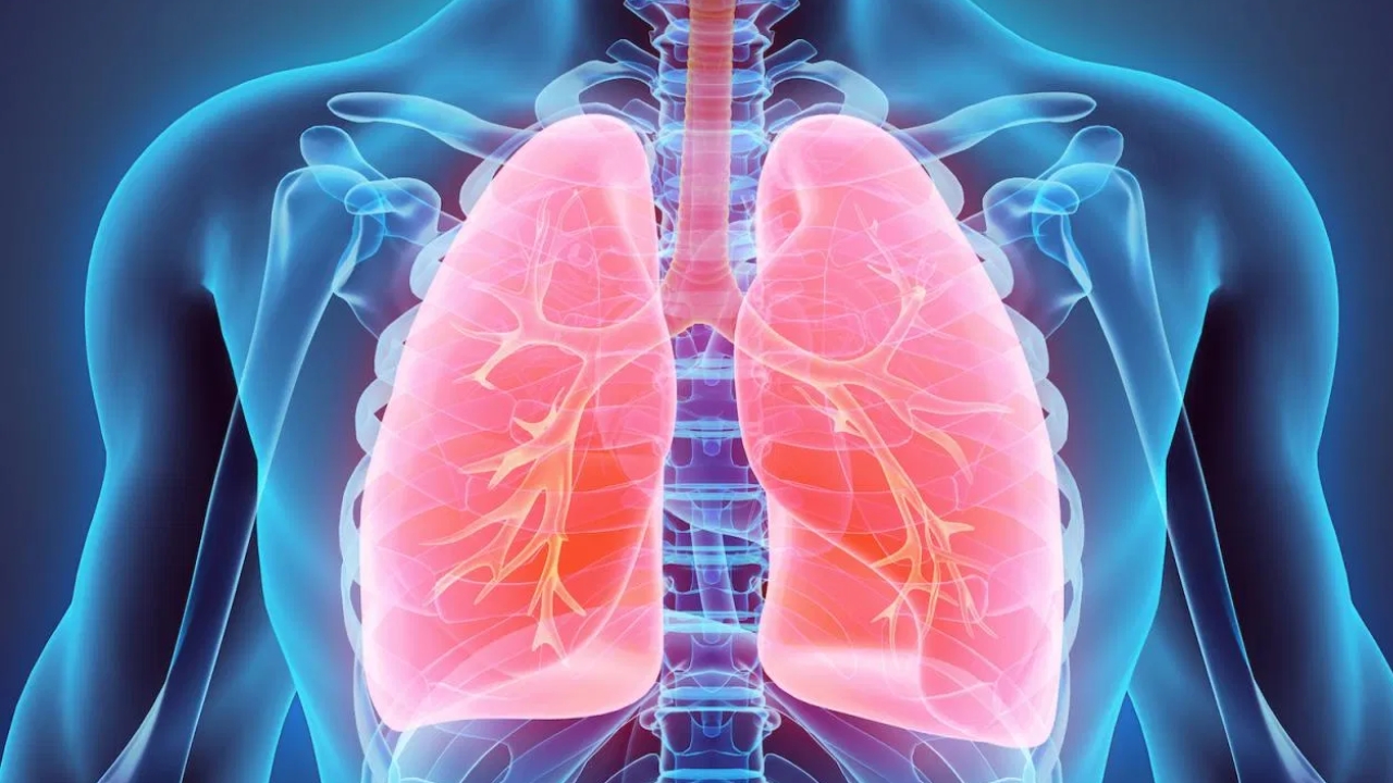 Sugar Effect on Lungs: షుగర్ అతిగా తింటే ఊపిరితిత్తులు పై ప్రభావం.. నమ్మట్లేదా.. అయితే ఇది చదవండి!