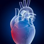 Heart Disease in Youth: యువతలో గుండె సంబంధింత సమస్యలు.. నివారణ మార్గాలు ఏంటో తెలుసా..?