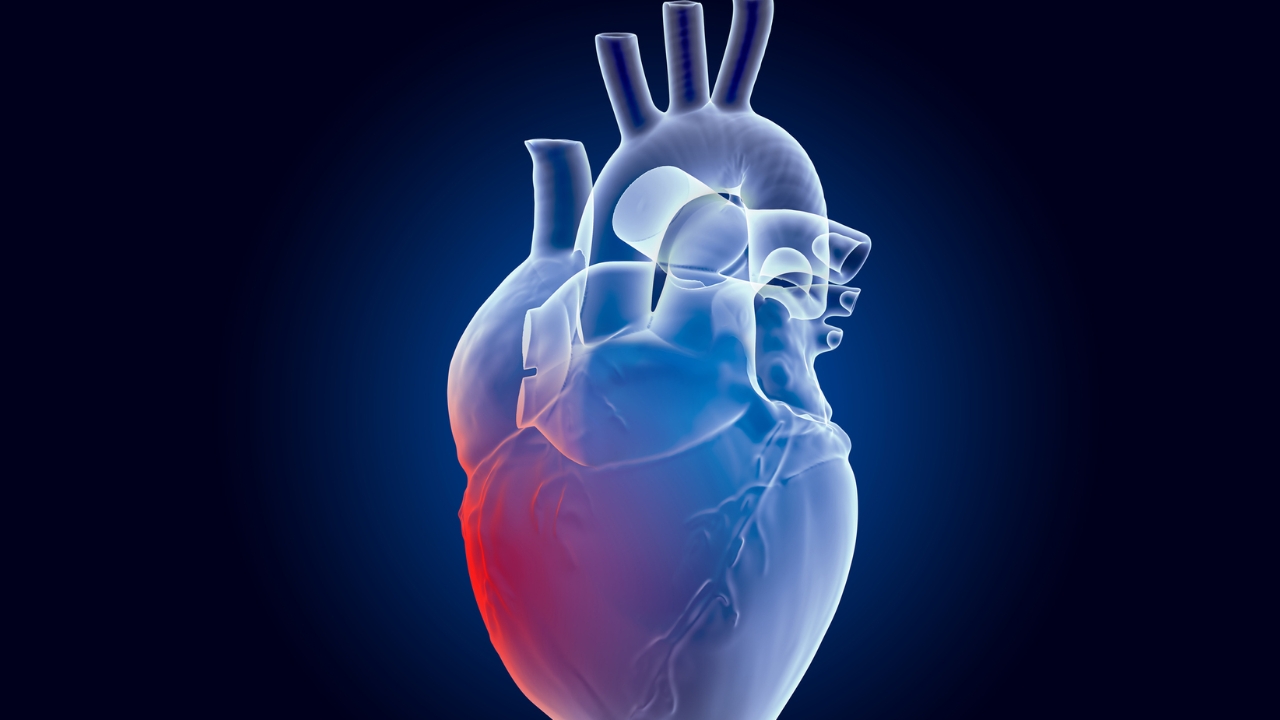 Heart Disease in Youth: యువతలో గుండె సంబంధింత సమస్యలు.. నివారణ మార్గాలు ఏంటో తెలుసా..?