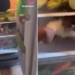 Viral Video: ఫ్రిడ్జిలో దూరిన కుక్క.. వీడియో చూస్తే షాక్ అవుతారు