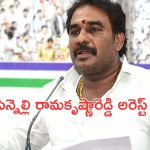 Pinnelli Ramakrishna Reddy Arrest: బ్రేకింగ్.. పిన్నెల్లి రామకృష్ణారెడ్డి అరెస్ట్..!