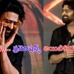 Prabhas: ప్రమోషన్స్ హోగయా.. నీకు బాగా హ్యాపీగా ఉన్నది కదా డార్లింగ్