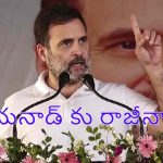Rahulgandhi resigns From Wayanad : డైలమాకు ఎండ్‌ కార్డ్‌.. వయనాడ్ కు రాహుల్ గాంధీ రాజీనామా