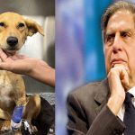 Ratan Tata Request: నెటిజన్లకు రతన్ టాటా రిక్వెస్ట్.. “ప్లీజ్ దానిని కాపాడండి”..!