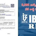 IBPS RRB Notification: నేడే లాస్ట్ డేట్.. రీజినల్ రూరల్ బ్యాంకులో 9,995 ఉద్యోగాలు