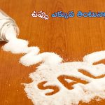 Heavy Salt Problems: ఉప్పు ఎక్కువ తింటున్నారా? అనారోగ్య సమస్యలతో జాగ్రత్త