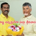 TDP AP President: టీడీపీ రాష్ట్ర అధ్యక్షుడిగా బాధ్యతలు స్వీకరించిన పల్లా శ్రీనివాసరావు