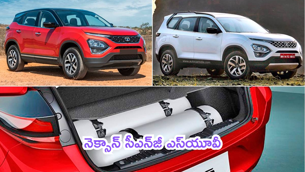 Tata Nexon CNG Turbo: చరిత్ర సృష్టించనున్న టాటా.. నెక్సాన్ సీఎన్‌జీ ఎస్‌యూవీ.. దద్దరిల్లిపోద్ది..!