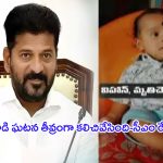 Revanth Reddy: కుక్కల దాడిలో బాలుడు మృతి.. ఘటనపై స్పందించిన రేవంత్ రెడ్డి