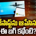 Microsoft Server Issue: మైక్రోసాఫ్ట్ ను ఆపేసిన బగ్.. ఈ బగ్ కథేంటి?