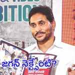 Jagan Delhi Protest: వైఎస్ జగన్ ఢిల్లీ ధర్నాతో చిక్కుల్లో పడ్డారా?