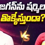 YS Jagan Vs YS Sharmila: రాజన్న బిడ్డల మధ్య వారసత్వ పోరు.. పోటాపోటీగా రాజశేఖరరెడ్డి జయంతి వేడుకలు..
