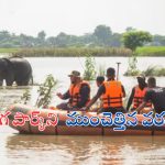 Assam Floods: కజిరంగ పార్క్‌ను ముంచెత్తిన వరదలు..131 వన్యప్రాణులు మృత్యువాత