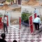 Viral Video: పూజ కోసం కర్రను తీసుకుని ఇంట్లోకి వెళ్లాడు.. కర్రకు వైర్ తగిలి కుప్పకూలాడు