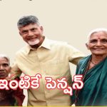 NTR pension Bharosa: సీఎం ఎలా ఉండాలో నేను నిరూపిస్తా.. పెన్షనర్లతో ముఖాముఖిలో చంద్రబాబు