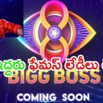 Bigg Boss Season 8: నాగార్జున షూటింగ్ కంప్లీట్.. కంటెస్టెంట్ లిస్ట్ ఇదే.. ఆ ఇద్దరు ఫేమస్ లేడీలు లేనట్లేనా..?