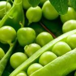 Green Peas: పచ్చి బఠాణీతో ప్రయోజనాలు మామూలుగా లేవు.. తెలిస్తే షాక్ అవుతారు..