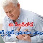 Heart Stroke Causes: వానాకాలంలో హార్ట్ స్ట్రోక్ ప్రమాదం ఎక్కువ.. ఎందుకో తెలిస్తే షాక్ అవుతారు.