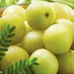 Amla Health Benefits: ప్రతీరోజూ ఇది ఒక్కటి తింటే శరీరానికి పోషకాలు పుష్కలంగా అందుతాయి..