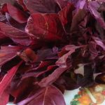 Red Amaranth: డయాబెటిస్ వ్యాధిగ్రస్తులు ఎర్ర తోటకూర తింటే షుగర్ లెవల్స్ కంట్రోల్ అవుతాయట..