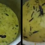Viral Video: హాస్టల్ మెస్‌లో వంట చేస్తున్న కడిలో ఎలుక.. ఈ తకొడుతూ దర్శనమిచ్చిన వీడియో వైరల్