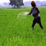 Crop Insurance: ఏపీ రైతులకు భారీ శుభవార్త.. ఇక నుంచి..